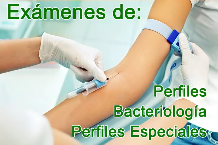 Exámenes de Perfil, Bacteriología y Perfiles Especiales en Caracas